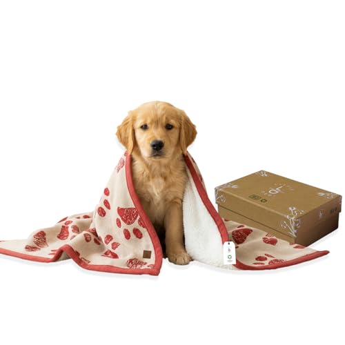 Baby & Pet Blanket 100% Cotton with Sherpa Fleece – Soft Stroller & Cuddle Blanket for Baby, Dog & Cat – Breathable, Hypoallergenic, Washable – 76×96 cm Amber Glow - color: Amber Glow/Beige