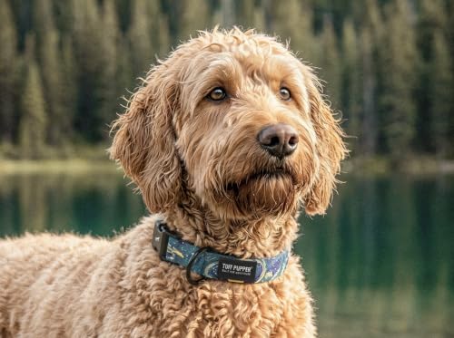 Tuff Pupper Premium Adjustable Dog Collar, Stylish Pattern Collars Designed in USA, Quick Release Buckle, Starry Flow Small (0.7 Inch Wide x 8-12 Inch Neck) - color: Starry Flow, size: Small