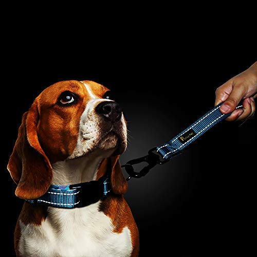 PLUTUS PET 10” Short Dog Leash, Reflective Nylon Padded Handle, Strong Traffic Leash with Carabiner Clip, Perfect for Large or Medium Dogs（10”，Blue | Reflective, Heavy Duty Strong Nylon, Traffic Leash with Carabiner Clip for Training Walking (10", Light B