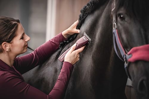 Wahl Pro Animal KM Supera Cordless Equine Clipper, Battery-Powered Tool