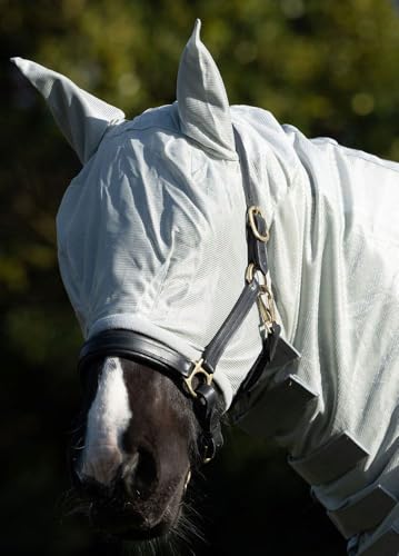 Derby House Pro Combo Neck Fly Sheet with Belly Wrap - size: 81