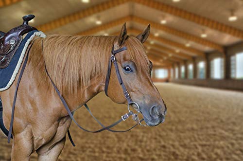 Tahoe Tack Plain Double Layer Nylon Headstall with Reins - color: Pink, size: Full