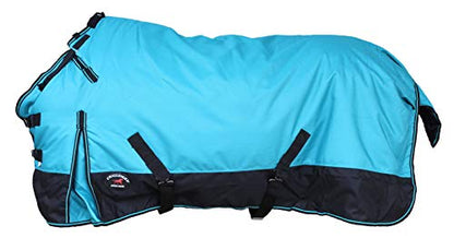 Challenger 1200D Turnout Waterproof Horse Winter Blanket Heavy 511 - color: Turquoise/Black, size: 76 inches