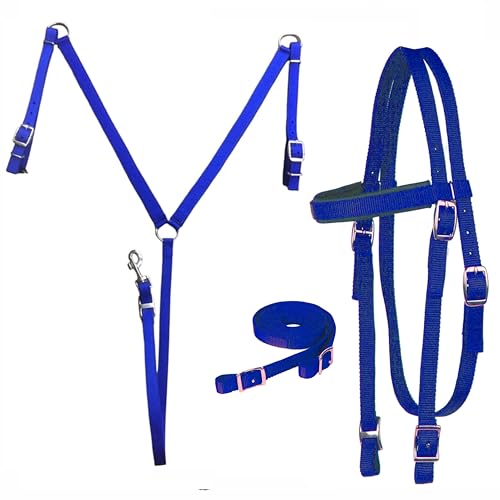 Majestic Ally Nylon Padded Equestrian Browband Headstall, Reins & BreastCollar Set for Horse- Full - color: Royal Blue