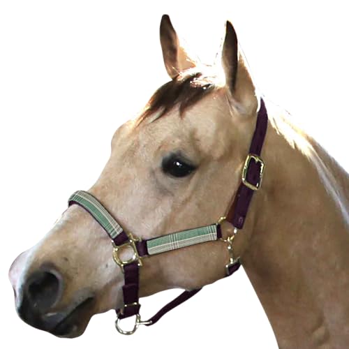 Kensington Premium Breakaway Halter with Padded Nose — Added Breakaway Safety Measures — Snap at Throat for Identical Fit Each Time - color: 2019 - Imperial Jade, size: Large
