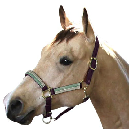 Kensington Premium Breakaway Halter with Padded Nose — Added Breakaway Safety Measures — Snap at Throat for Identical Fit Each Time - color: 2019 - Imperial Jade, size: Large