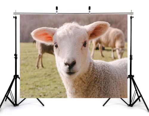 5x3ft White Lamb Close Up Backdrop Fluffy Wool Sheep Green Pasture Farm Portrait Photography Background Tapestry Farm Decorations Photo Booth Props - size: 5x3ft
