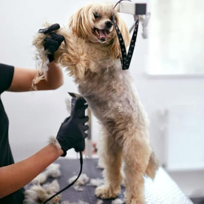 2PCS 10W Wide Blades Dog Grooming Blades Compatible with Andis Dog Clippers - size: Black/10W