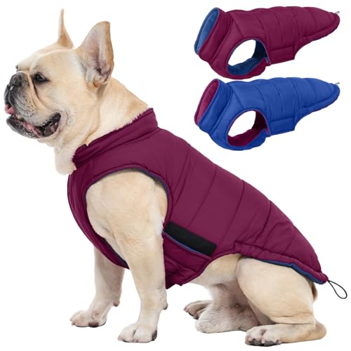 QBLEEV Reversible Dog Jacket, Windproof Dog Coat, Lightweight Puffer Vest - color: Violet-Blue, size: Large