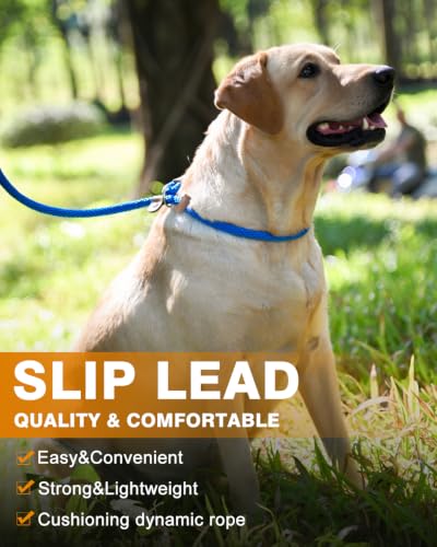 Dog Leash Slip Lead Braided Rope Pet Training Loop Leashes 5ft 6ft 8ft - color: Blue