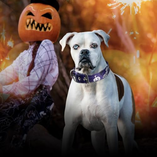 TSPRO Heavy Duty Thick Dog Collar with Metal Buckle for Small Dogs - color: Halloween Purple, size: S – Fits Neck 12.6"-15.8"