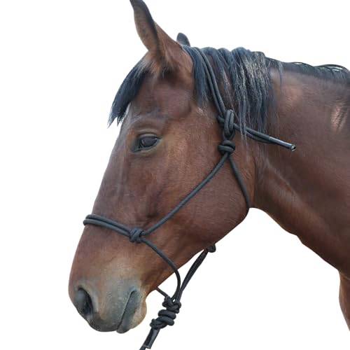 Horse Rope Training Halter -Halter Cord - Used by Famous Trainers