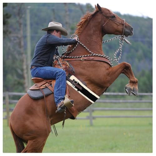Western Cinch Horse Girth 28" to 34", Soft 25mm Thick Fleece Padding, White - size: 32 Inch
