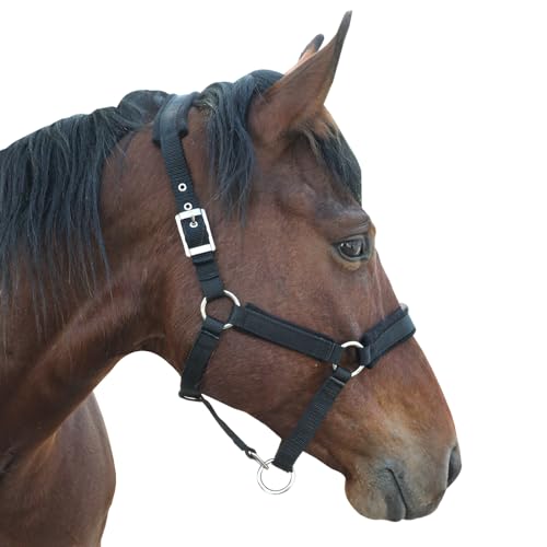 Adjustable Horse Halter with Fleece Padding, Available in Black, Red, Blue - color: Black, size: Small