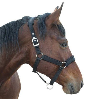 Adjustable Horse Halter with Fleece Padding, Available in Black, Red, Blue - color: Black, size: Small