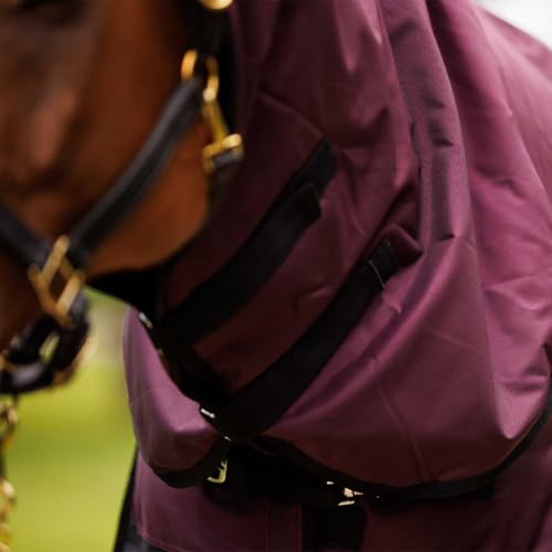 Country Pride Gale Force Midweight Turnout Blanket for Horses, 1680D Waterproof Blanket, 200g Insulation, Adjustable Double Buckle Front, Bias Surcingle, Shoulder Gussets, Tail Cover, Plum/Black (76) - size: 76