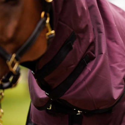 Country Pride Gale Force Midweight Turnout Blanket for Horses, 1680D Waterproof Blanket, 200g Insulation, Adjustable Double Buckle Front, Bias Surcingle, Shoulder Gussets, Tail Cover, Plum/Black (76) - size: 76