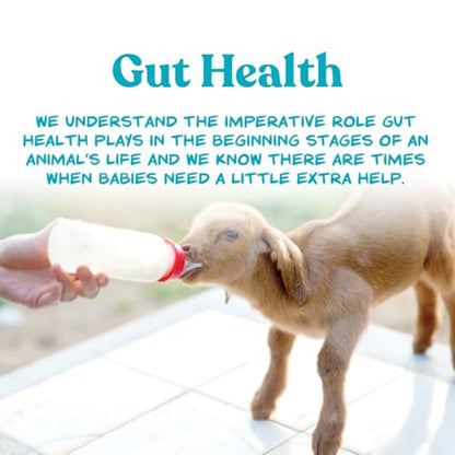Manna Pro Goat Kid Milk Replacer with Opti-Gut, 8 lb Bag - size: 8 Count (Pack of 1)