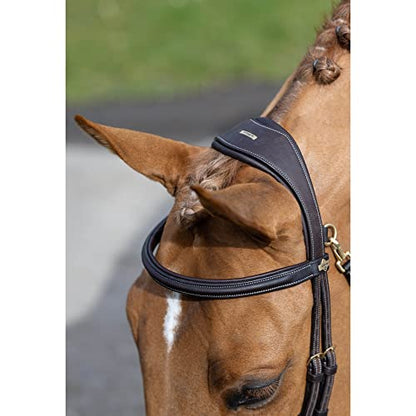 LeMieux Kudos Work Bridle - color: Brown, size: Pony