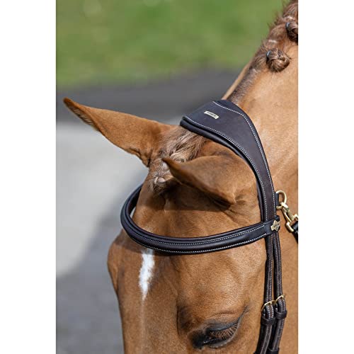 LeMieux Kudos Work Bridle - color: Brown, size: X-Full