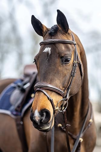 LeMieux Kudos Competition Flash Bridle - color: Havana, size: Oversize-O/S