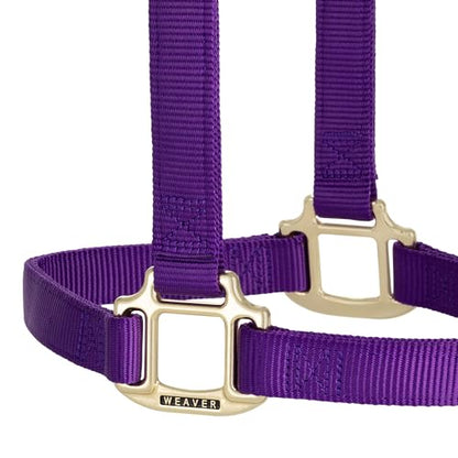 Weaver Leather Original Non-Adjustable Nylon Horse Halter