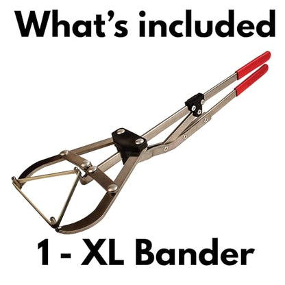The Original XL Livestock Bander – USA Made Applicator for Bulls 250–750 Lbs | Works with XL Latex Bands | for Cattle, Goats & Sheep