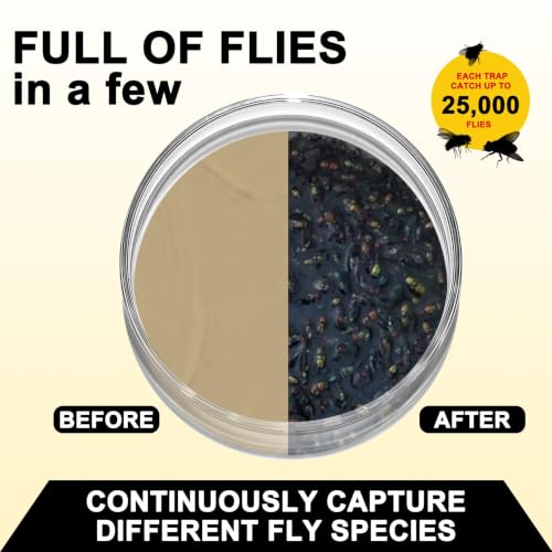 Fly Bait Attractant Trap Refill Packets 15x30g for Reusable Traps Outdoors | Ranch Flies Trap Magnet for Patio Yard | Bug Dissolvable Granules Control All Flies - size: 15 pack
