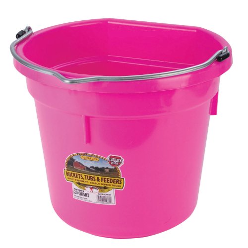 Little Giant Plastic Animal Feed Bucket (Hot Pink) Flat Back Plastic Feed Bucket with Metal Handle (20 Quarts / 5 Gallons) (Item No. P20FBHOTPINK6)