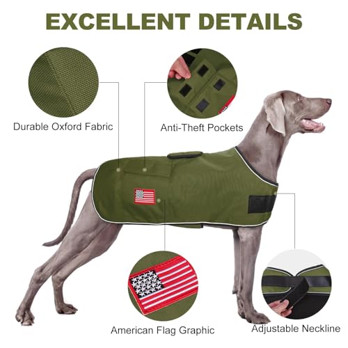 BEAUTYZOO Dog Winter Coat for X-Large Dogs, Waterproof Canvas Jackets - color: Green, size: XL(Chest Girth 34"-45", Back 24", Neck 24"-29")