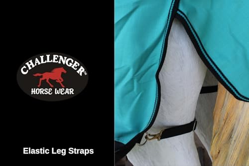 Challenger 1200D Turnout Rain Horse Sheet Light Winter Blanket Gusset 367 - color: Turquoise Black, size: 82 inches