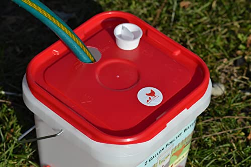 RentACoop LG Thermo Bucket Belt and 2 Gal Corner Bucket Waterer