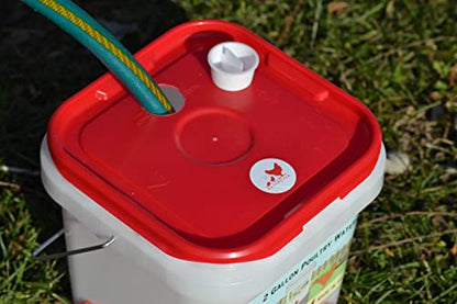 RentACoop LG Thermo Bucket Belt and 2 Gal Corner Bucket Waterer