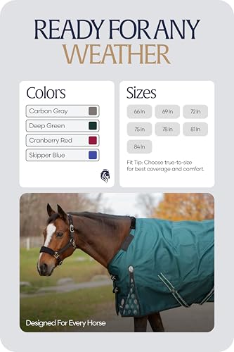 Equinavia Arktis Regular Neck Turnout Sheet - Deep Green - 69 in - color: Deep Green, size: 69 in
