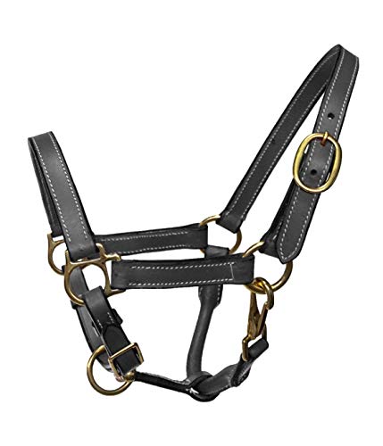 Foal Size Leather Halter with Brass Hardware - color: Black