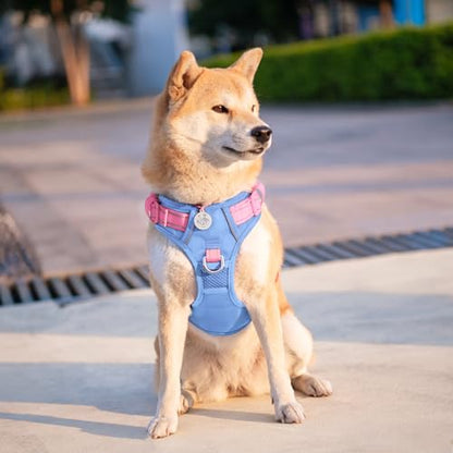 PHOEPET No Pull Dog Harness, Unique Colors Reflective Adjustable Dog Vest - color: Baby Blue Base & Pink Straps, size: Small