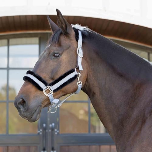 Equinavia Valkyrie Ultra Fleece Soft Padded Horse Halter Breakaway - color: Slate Grey/Black, size: Cob