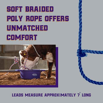 Weaver Livestock Braided Poly Rope Cattle Halter, Adjustable, Modern Style Cow Calf Halter, Livestock Handling Equipment for Showing, Blue - color: Blue, size: One Size