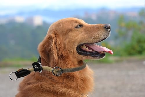 Braided Round Martingale Dog Collar, Training Collar with Slidable Stop Ring and Adjustable Stopper - Ideal for Large Dogs (L(1/2") - 20" Long, Khaki) - color: Khaki, size: L(1/2") - 20" Long with stopper