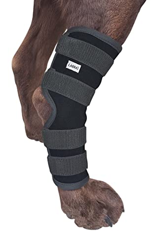 Labra Dog Rear Leg Hock Joint Compression Wrap - Supportive Brace for Weak Back Legs, ACL Tear, and Joint Discomfort - Adjustable Hind Leg Support for Senior Dogs - Large - size: Large