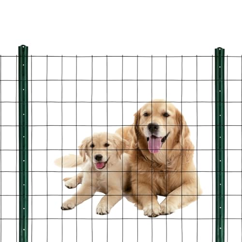 Black PVC Coated Welded Wire Mesh Garden Economy Fence 36 Inch x 50 Foot-3 Inch x 2 Inch 16GA - color: Black, size: 36"x50\'-3"x2" 16GA