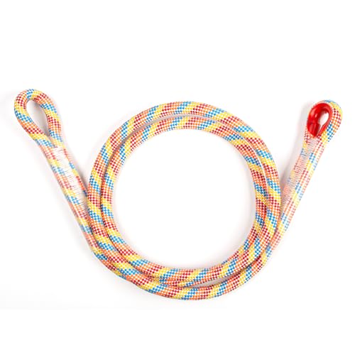 Heavy Duty Tree Swing Ropes with Safer Lock-(2Pack, Rainbow,20FT) - color: Rainbow, size: 240''(20FT)-2 Pack