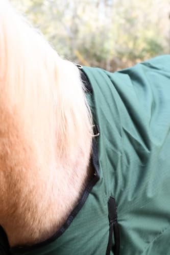 AJ Tack 1200D Waterproof Winter Horse Blanket - 400g Heavyweight Turnout with Fleece Collar, Shoulder Gussets & Tail Flap - Green 66" - color: Green, size: 66 Inches