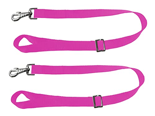 Adjustable Pair of Nylon Replacement Straps for Slow Feed Hay Bags (Raspberry) - color: Raspberry