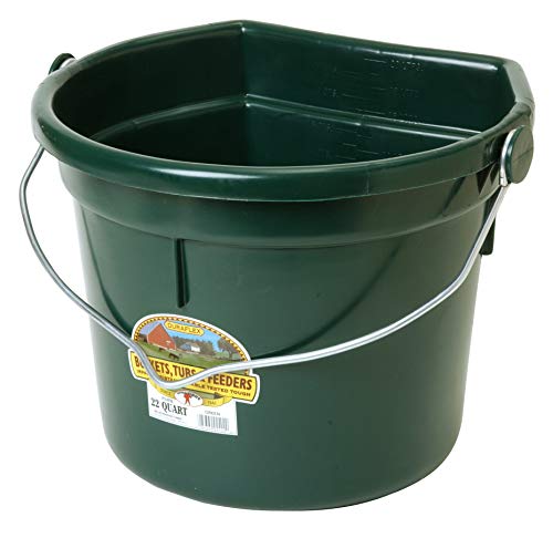 Little Giant® Plastic Animal Feed Bucket | Flat Back Feed Bucket with Knob Ball & Metal Handle | Made in USA | 22 Quarts | Green - color: Green