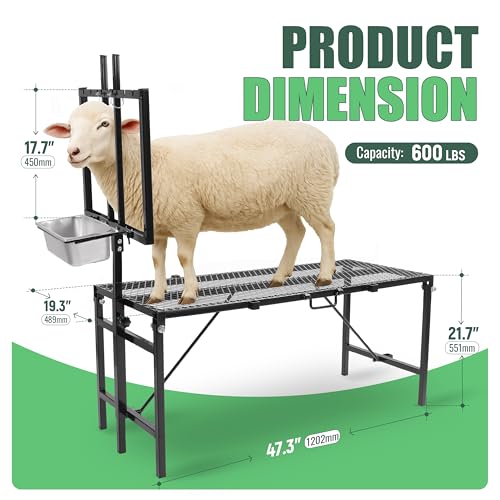600LBS Milking Stand for Goat, Adjustable Sheep Rack with Feeder, Metal Livestock Milk Stand Fit for Shearing, Hoof Trimming, Animal Examinel Examination, Stainless Steel (Black) - color: Black