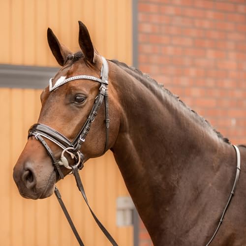 HORZE Grayson Classic Leather Ergonomic Snaffle Dressage Bridle with Detachable Flash - color: Black/White, size: Cob