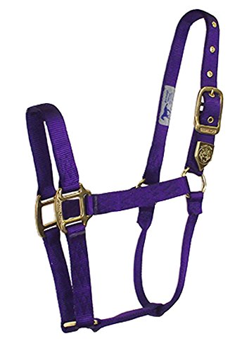Hamilton Deluxe Horse Halter, 300-500 lbs, Purple - color: Purple, size: Yearling, 300-500lbs