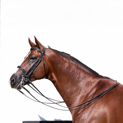 Equinavia Saga Double Bridle w/Reins - size: Horse