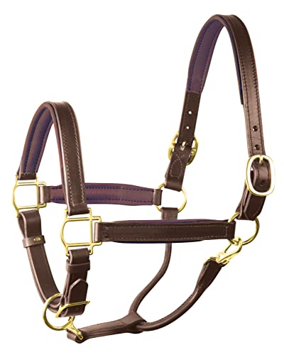 Perri's Soft Padded Leather Halter - color: Havana/Brown, size: Cob